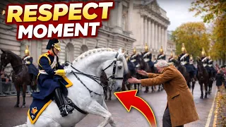 Unforgettable Moments of Respect Between Horses and People ✅