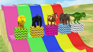 Long Slide Game With Elephant Gorilla Buffalo Hippopotamus Tiger 3d Animal Game Funny 3d Animals