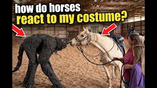 Horses have NEVER seen this before!