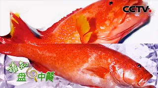 真假东星斑傻傻分不清！全身通红、味道鲜美、高颜值的"贵族"石斑鱼你吃对了吗？| CCTV「谁知盘中餐」20210426