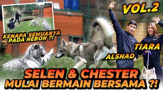 ALSHAD DAN TIARA JAGAIN SELEN MAEN BARENG CHESTER ! SELEN UDAH MULAI AKRAB DENGAN CHESTER !!