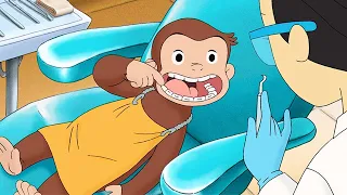 ジョージ、歯みがきを学ぶ 🐵 おさるのジョージ
