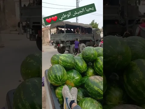 فيديو تراه في الجزائر فقط