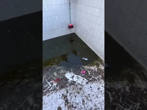 Limpando minha PISCINA ABANDONADA! Part 2🤮🤢🗣 #shorts #reforma #piscinaabandonada
