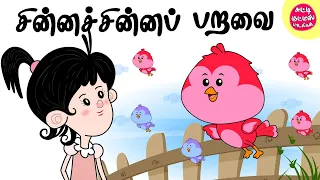 Chinna Chinna Paravai | சின்ன சின்ன பறவை | Bird Rhymes | Tamil | Magicbox
