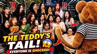 Funny Teddy Bear Compilation – Cute Moments, Funny Reactions & Unexpected Moments 😂