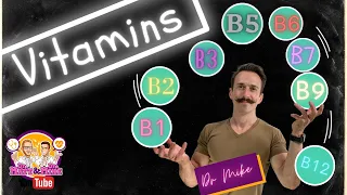 B Vitamins | B1, B2, B3, B5, B6, B7, B9, B12