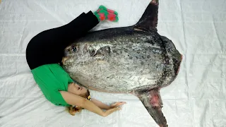 (eng)대왕 개복치 드디어 구했습니다… 손질해볼게요 Cutting Giant Sunfish