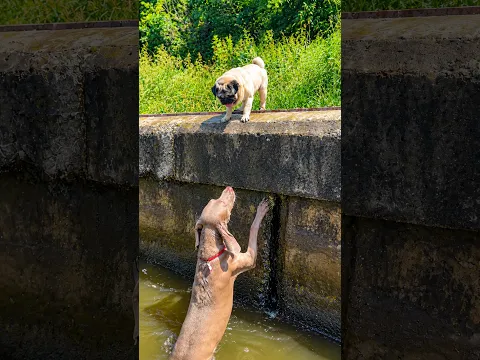 A Fun Day At The River Went Wrong! 😱🌊