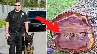 El Perro Policía Le Ladra a Un Árbol y Lo Que Encontraron Ahí Fue Impactante 😨