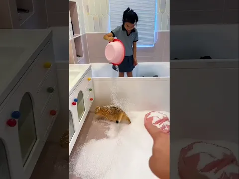 Fake Snow Didn’t Work… Dad Built a Cooling Tunnel!