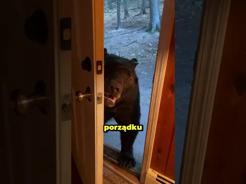 Myśleli, że już nigdy go nie zobaczą 😳