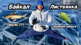 Поездка в Листвянку / Путешественник Сан Тан