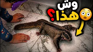 لقينا شي غريب داخل البيت .. صدمنا ! 😳