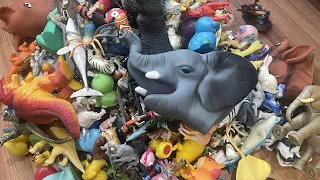 Discover My Secret Toy Collection, Beautiful Animal Toys
