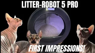 Litter-Robot 5 Pro Review: 3 Sphynx Cats Put It to the Test!