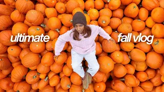 i tried completing my fall bucket list in 24 HOURS