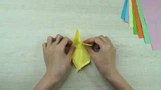 How did I create a mischievous rabbit, a puppy, and an adorable duck?