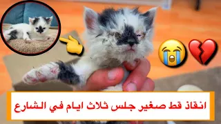مساعدة قط صغير و جميل من الشارع 😢💔 شوفوا شكله في النهاية 😍❤️ \Mohamed Vlog