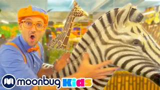 Blippi Learns About Jungle Animals! | Playground for Children | Educational Shows | Moonbug Kids