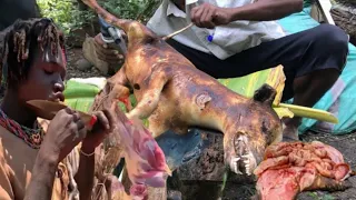 Hadzabe Tribe Bush Pig Hunt and Cooking in the Wild|Hunt to Survive