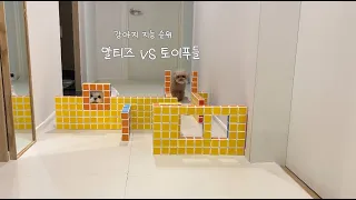 (Full Ver.)강아지 vs 블록