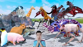 NHÂN BIBI PHÁT HIỆN ĐỘNG VẬT TRONG SỞ THÚ ZOOCHOSIS TIẾN HÓA TRỞ LÊN SIÊU MẠNH