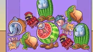 LIVE! main merge fellas (anomali)
