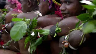 AMAZING KIRIWINA CATERPILLAR DANCE!