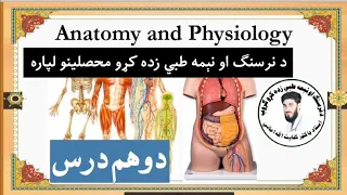 2 Anatomical Position, Plan and Anatomical Terminology | for Pre Medical Student |د اناټومي دوهم درس