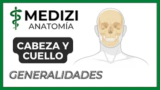 Anatomía de Cabeza y Cuello - Generalidades