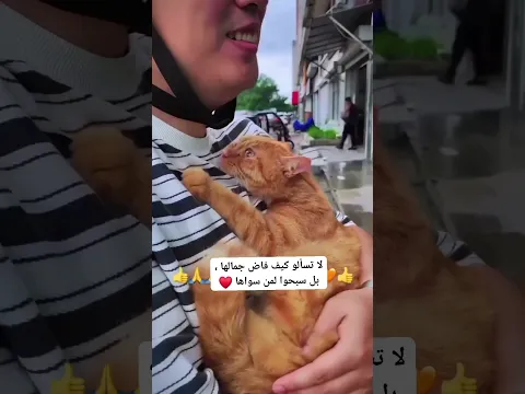 سبحان الله وبحمده