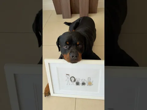 forever part of our family 🥹🪽@nalatheneedyrottie #rottweiler #trend #familyportrait #dog