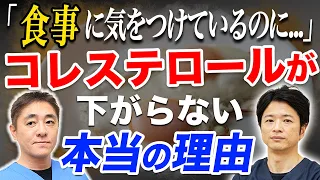 【コレステロール値が気になる方必見!!】手軽に取り入れられる食事を胃腸のプロが徹底解説します。対談企画 教えて平島先生 秋山先生 No259