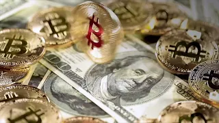 😱 Pchelka Finance Expert: Bitcoin Prediction on February 2024