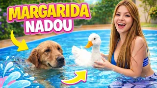 COLOQUEI MINHA PATA MARGARIDA NA PISCINA *nadou muito*