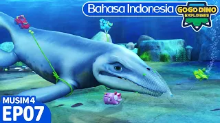 【GOGODINO EXPLORERS II】EP07 Tylosaurus Pemangsa Yang Menakutkan | Kartun Anak | Lagu | Indonesia