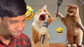 Funny Try Not To Laugh Challenge 🤣 | Pompula Tide