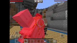 What is your gameplay in Minecraft?