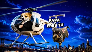 🧟Los PERROZOMBIE atacan en la ciudad😱🌆