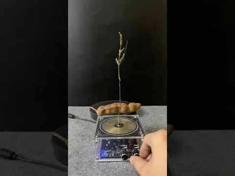 MUSIC TESLA COIL EXPERIMENT #teslacoil #experiment #shorts