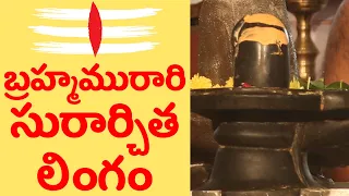 బ్రహ్మమురారి సురార్చిత లింగం | BRAHMA MURARI SURARCHITA LINGAM | LORD SHIVA SONGS |  | MY3 MUSIC