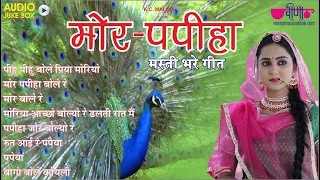 MOR PAPIHA - RAJASTHANI | Piyu Piyu Bole Piya Moriya | Seema Mishra | Veena Music
