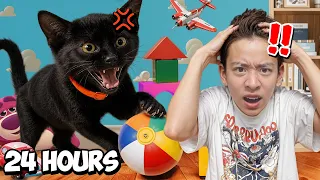 ใช้ชีวิต 24 ชั่วโมง แบบป่วนกับ "แมวจอมป่วน !!"