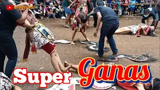 HEBOH ❗CEWEK CEWEK CANTIK KESURUPAN SUPER GANAS❓LKW SEKAR WANGI