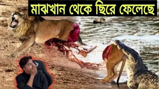 ভুল প্রানির সাথে লরতে আসলে এমনি হয় Animal moments (Part 2)