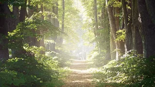 さんぽ - となりのトトロ 井上あずみ