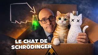 Tout comprendre sur le chat de Schrödinger