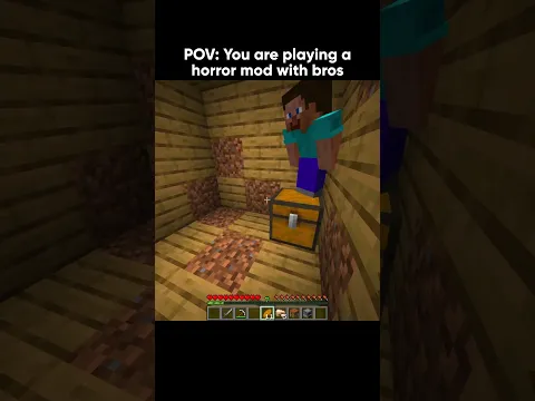 playing with bros be like