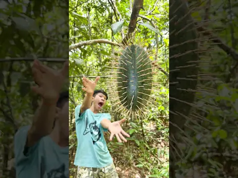 Survival Gloves Hacks You Need to Know Now
